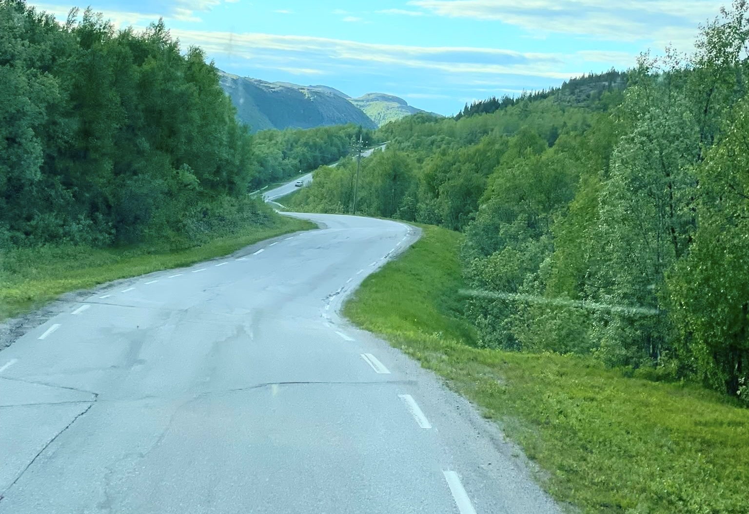 Pasvikveien